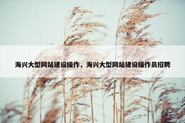 海兴大型网站建设操作，海兴大型网站建设操作员招聘