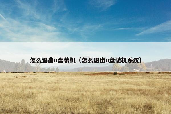 怎么退出u盘装机（怎么退出u盘装机系统）