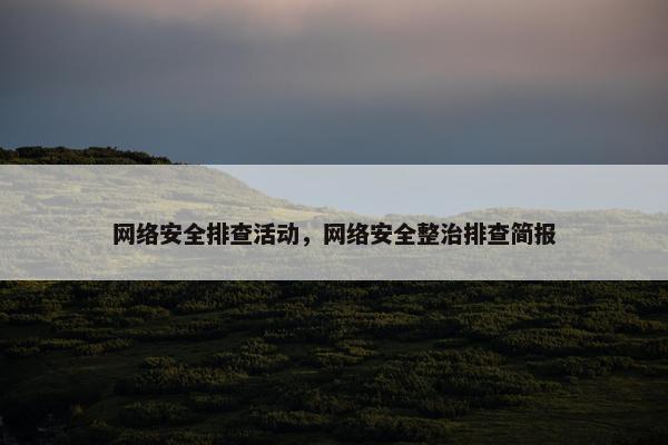 网络安全排查活动，网络安全整治排查简报