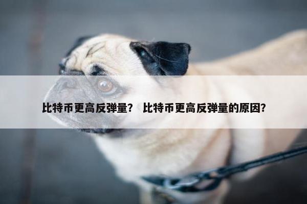 比特币更高反弹量？ 比特币更高反弹量的原因？