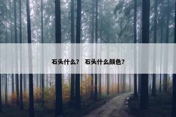 石头什么？ 石头什么颜色？