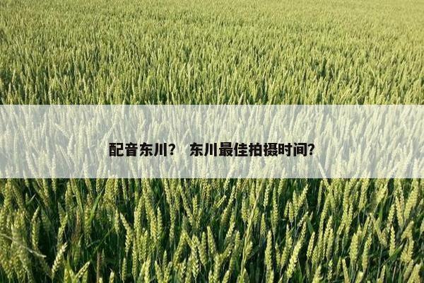 配音东川？ 东川最佳拍摄时间？