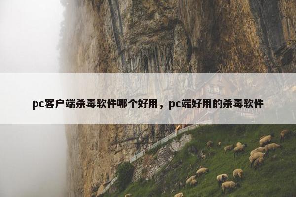 pc客户端杀毒软件哪个好用，pc端好用的杀毒软件