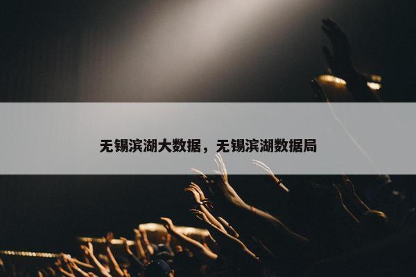 无锡滨湖大数据，无锡滨湖数据局