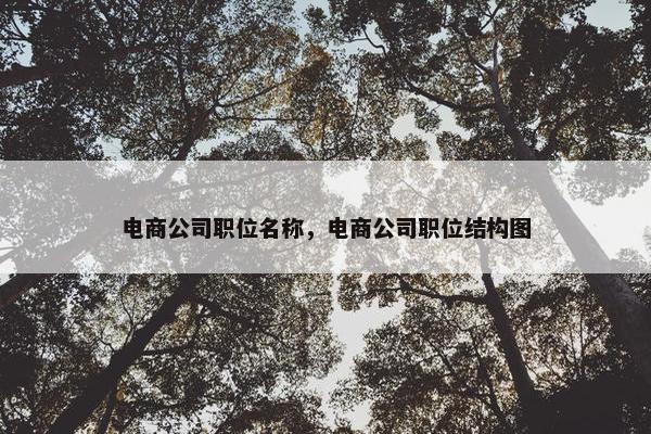 电商公司职位名称，电商公司职位结构图