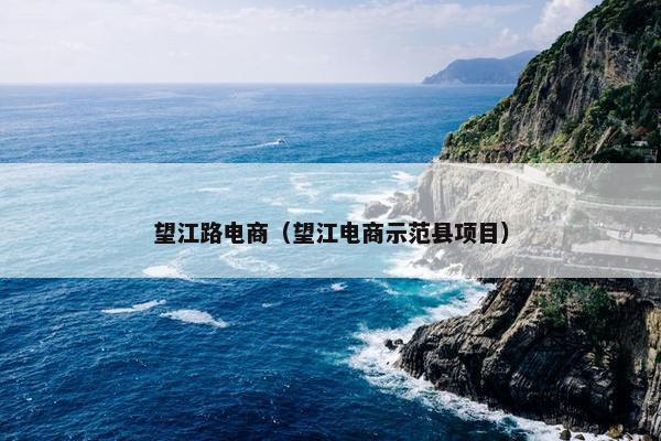 望江路电商（望江电商示范县项目）