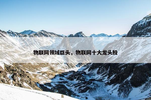 物联网领域巨头，物联网十大龙头股