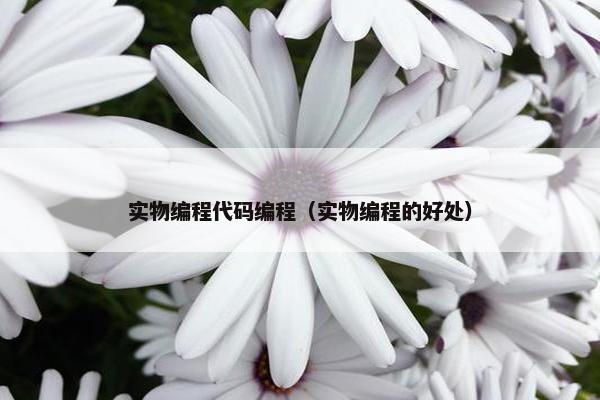 实物编程代码编程（实物编程的好处）