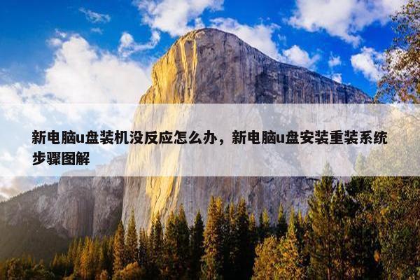 新电脑u盘装机没反应怎么办，新电脑u盘安装重装系统步骤图解