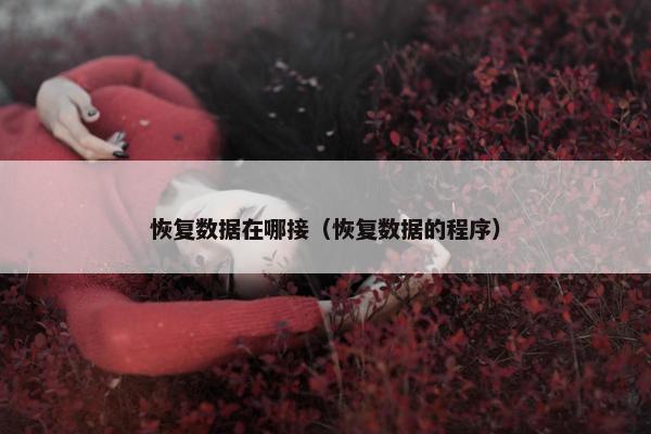 恢复数据在哪接（恢复数据的程序）