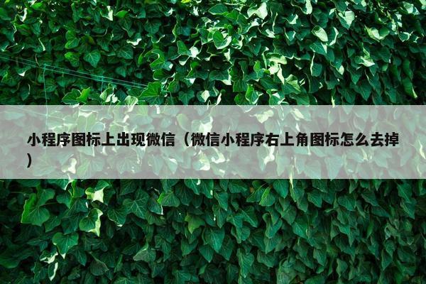 小程序图标上出现微信（微信小程序右上角图标怎么去掉）
