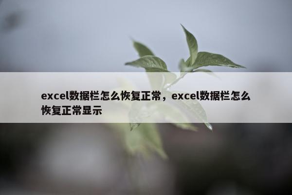 excel数据栏怎么恢复正常，excel数据栏怎么恢复正常显示