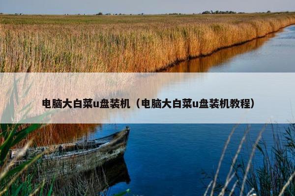 电脑大白菜u盘装机（电脑大白菜u盘装机教程）