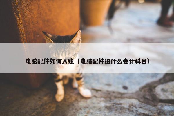 电脑配件如何入账（电脑配件进什么会计科目）