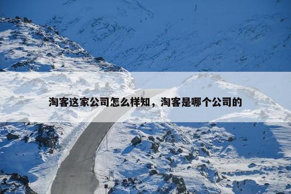淘客这家公司怎么样知，淘客是哪个公司的