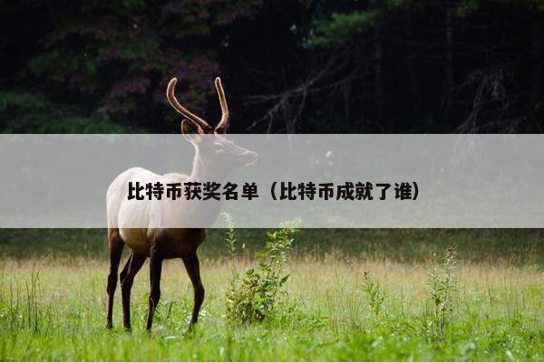 比特币获奖名单（比特币成就了谁）
