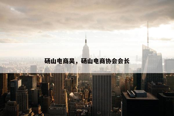 砀山电商吴，砀山电商协会会长