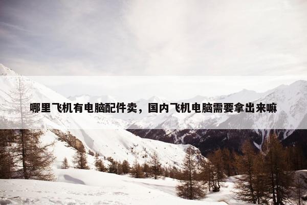 哪里飞机有电脑配件卖，国内飞机电脑需要拿出来嘛