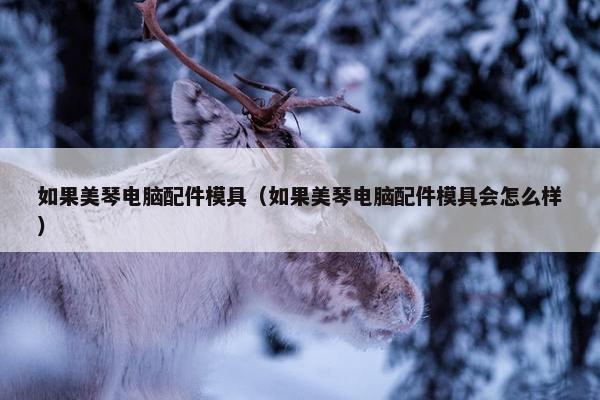 如果美琴电脑配件模具（如果美琴电脑配件模具会怎么样）