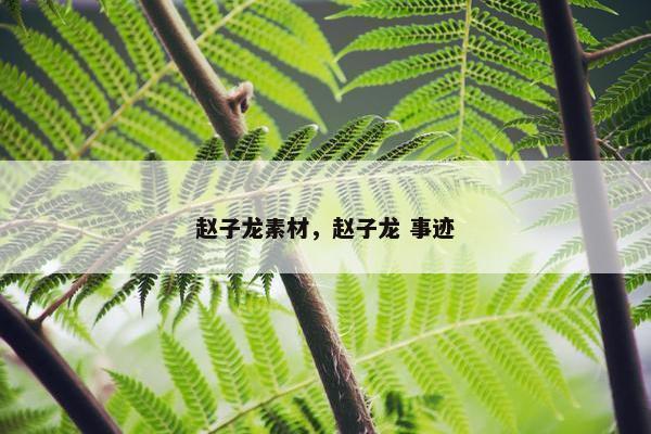 赵子龙素材，赵子龙 事迹