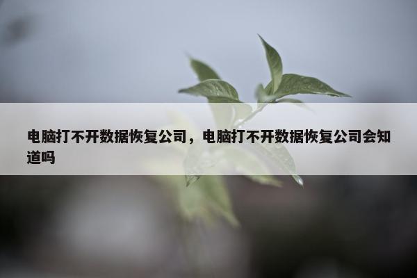 电脑打不开数据恢复公司，电脑打不开数据恢复公司会知道吗