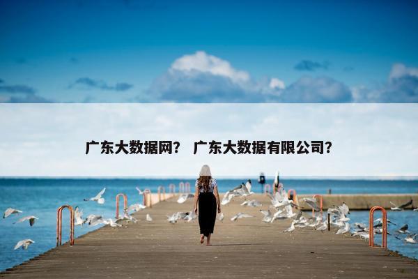 广东大数据网？ 广东大数据有限公司？