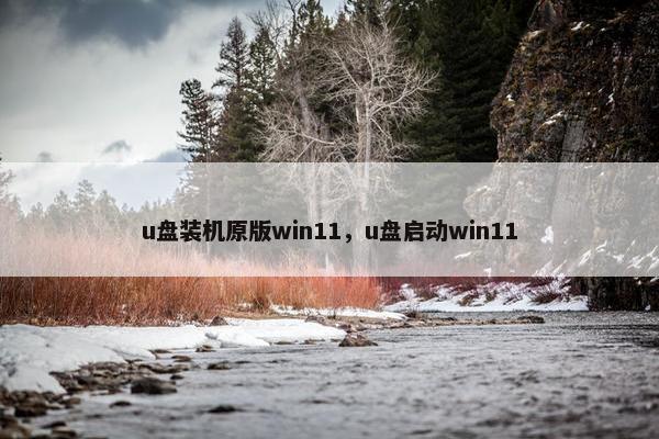 u盘装机原版win11，u盘启动win11