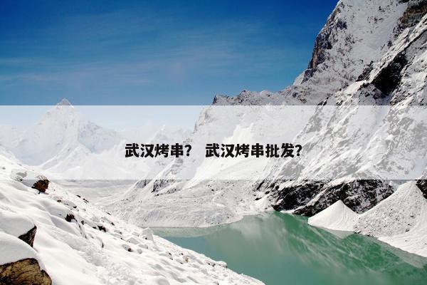 武汉烤串？ 武汉烤串批发？