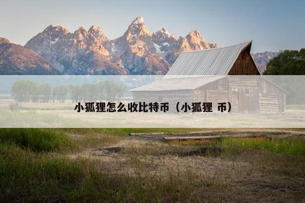 小狐狸怎么收比特币（小狐狸 币）