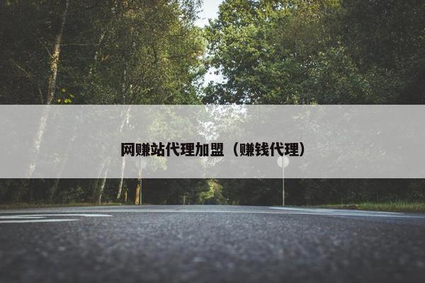 网赚站代理加盟（赚钱代理）