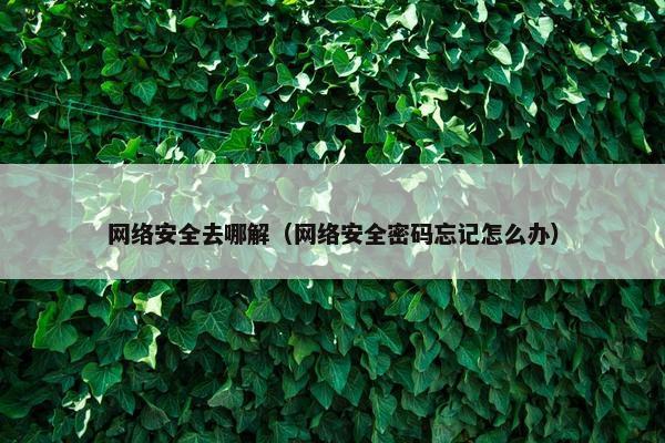 网络安全去哪解（网络安全密码忘记怎么办）