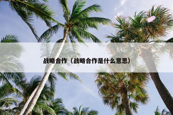 战略合作（战略合作是什么意思）