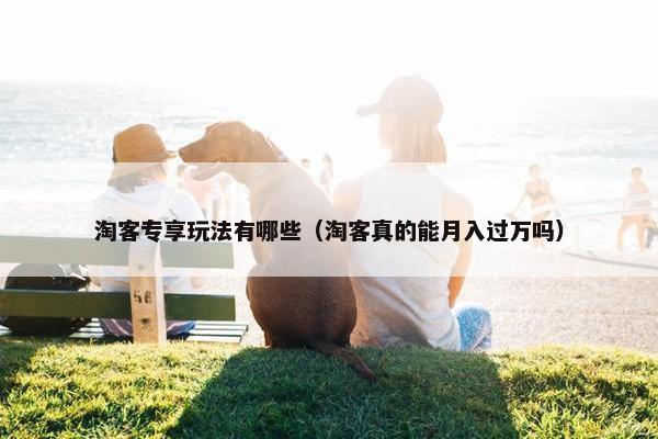 淘客专享玩法有哪些（淘客真的能月入过万吗）
