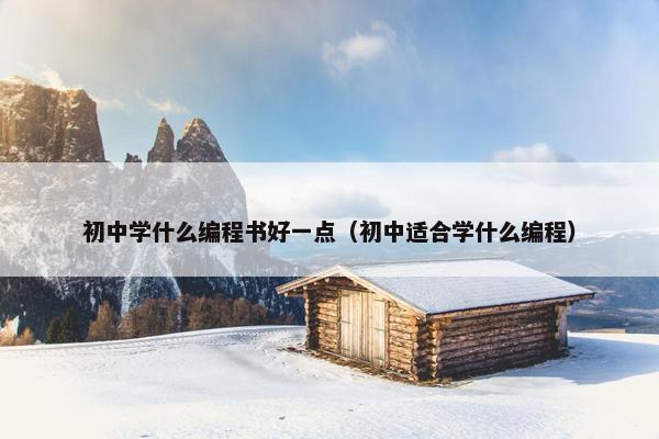 初中学什么编程书好一点（初中适合学什么编程）