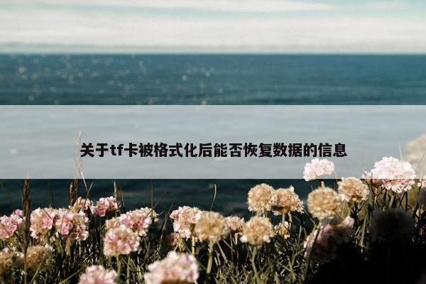 关于tf卡被格式化后能否恢复数据的信息