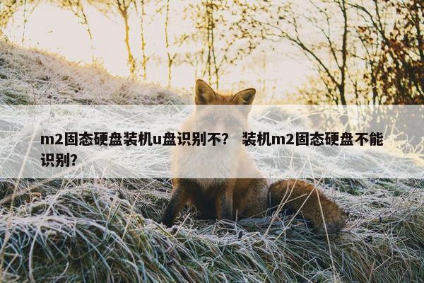 m2固态硬盘装机u盘识别不？ 装机m2固态硬盘不能识别？