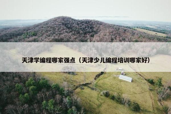 天津学编程哪家强点（天津少儿编程培训哪家好）