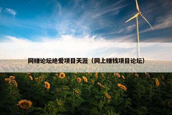 网赚论坛绝爱项目天涯（网上赚钱项目论坛）