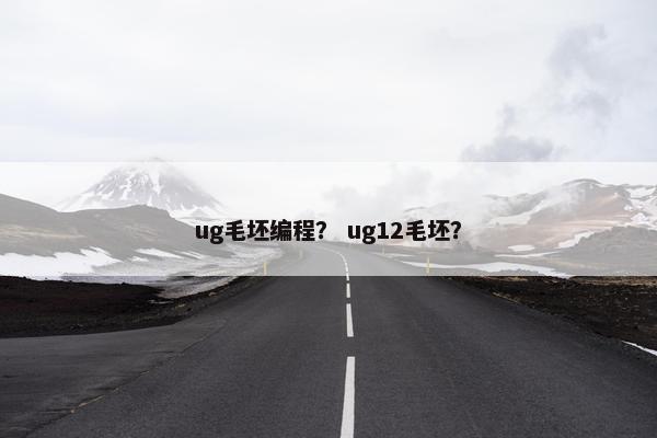 ug毛坯编程？ ug12毛坯？