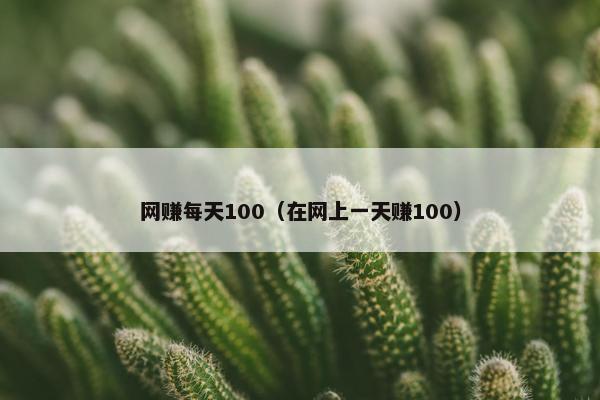 网赚每天100（在网上一天赚100）