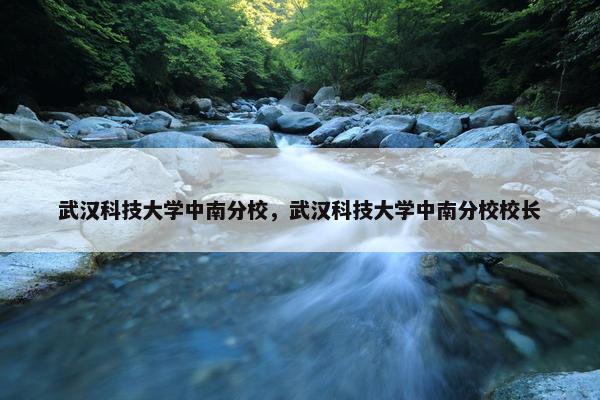 武汉科技大学中南分校，武汉科技大学中南分校校长