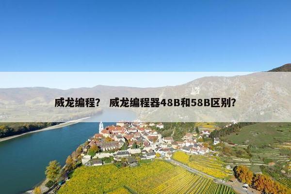 威龙编程？ 威龙编程器48B和58B区别？