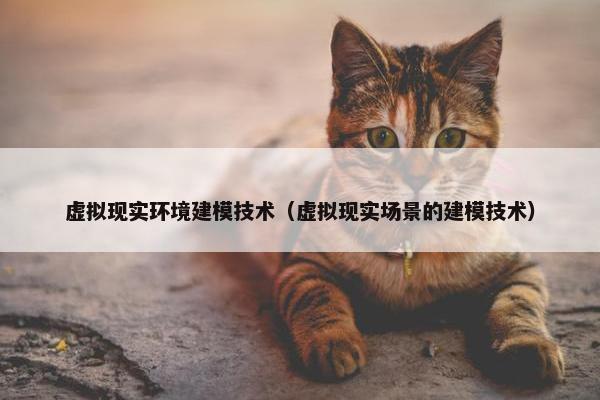 虚拟现实环境建模技术（虚拟现实场景的建模技术）