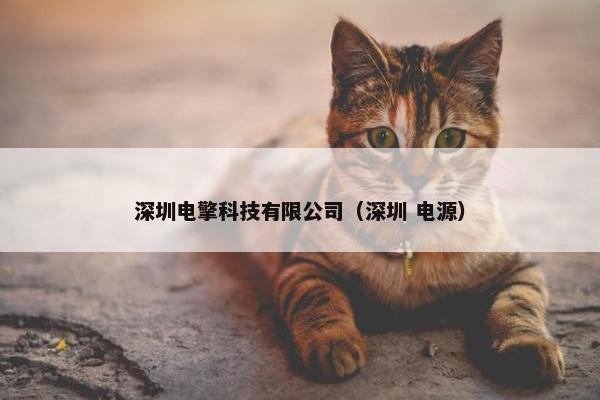 深圳电擎科技有限公司（深圳 电源）