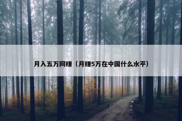 月入五万网赚（月赚5万在中国什么水平）