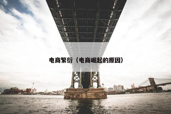 电商繁衍（电商崛起的原因）