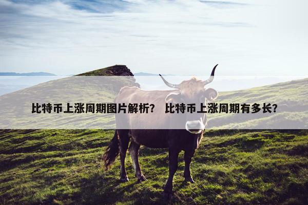 比特币上涨周期图片解析？ 比特币上涨周期有多长？
