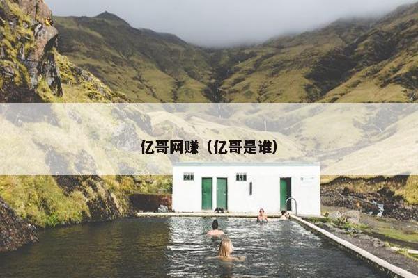 亿哥网赚（亿哥是谁）