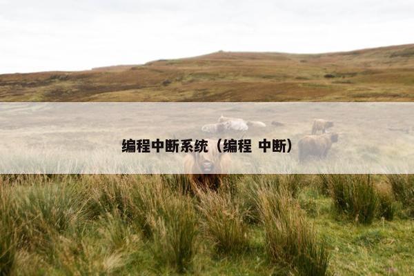 编程中断系统（编程 中断）