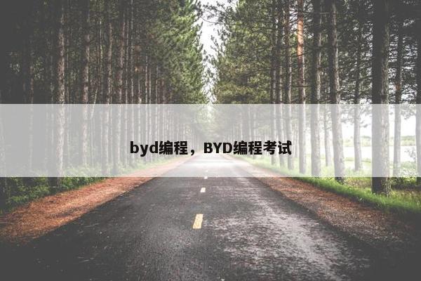byd编程，BYD编程考试